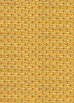 Machine Washable Transitional Sedona Brown Rug, wshpat2544