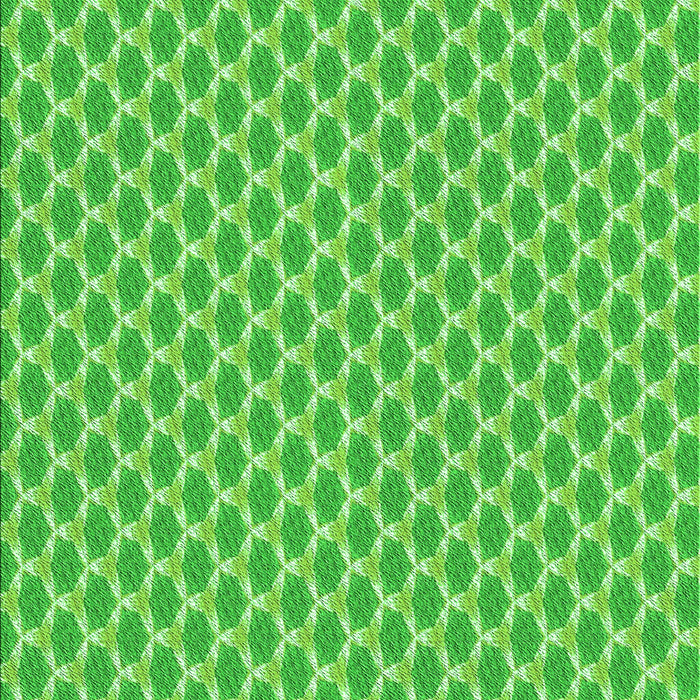 Machine Washable Transitional Emerald Green Rug, wshpat2545grn