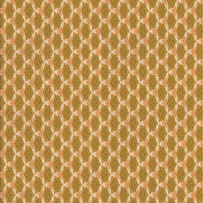 Patterned Orange Rug, pat2545org