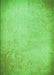 Machine Washable Transitional Emerald Green Rug, wshpat2546grn