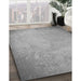 Machine Washable Transitional Platinum Gray Rug in a Family Room, wshpat2546gry