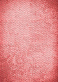 Machine Washable Transitional Pastel Pink Rug, wshpat2546rd