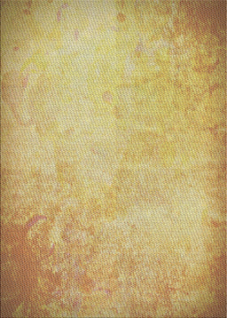 Patterned Mustard Yellow Novelty Rug, pat2546