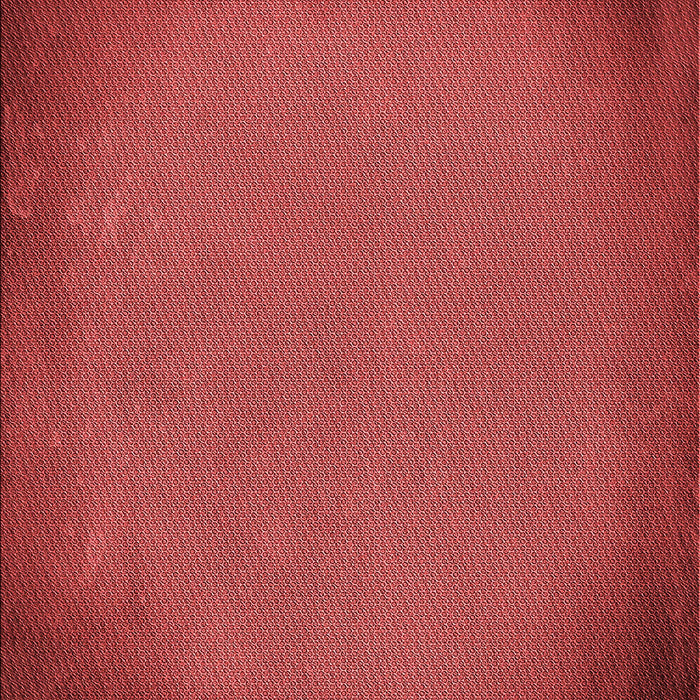 Patterned Red Rug, pat2547rd