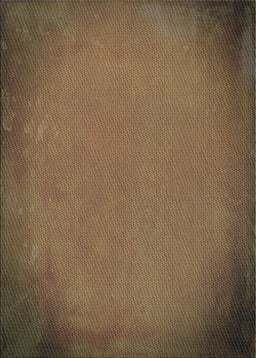 Machine Washable Transitional Night Red Rug, wshpat2547