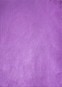 Machine Washable Transitional Violet Purple Rug, wshpat2549pur