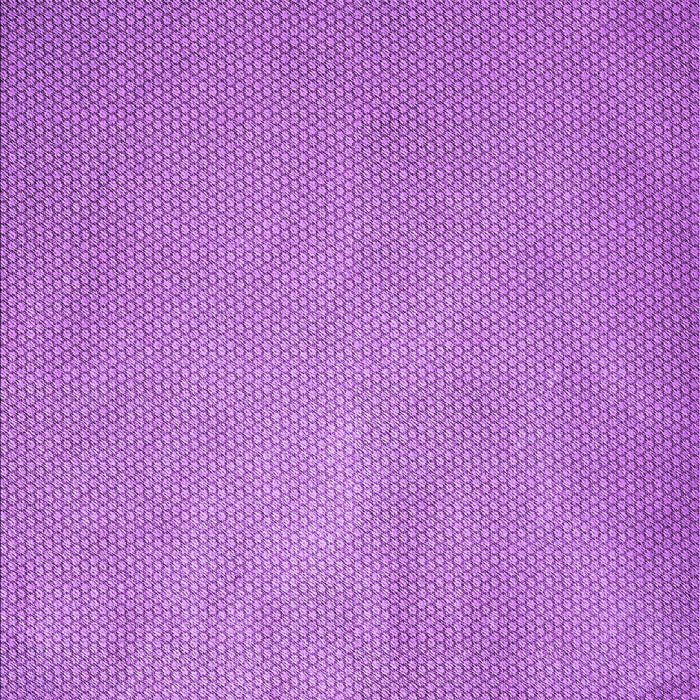 Machine Washable Transitional Violet Purple Rug, wshpat2549pur