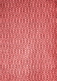 Machine Washable Transitional Ruby Red Rug, wshpat2549rd