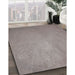 Patterned Pale Silver Gray Novelty Rug in Family Room, pat2549