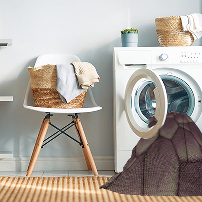 Machine Washable Transitional Puce Purple Rug in a Washing Machine, wshpat255brn