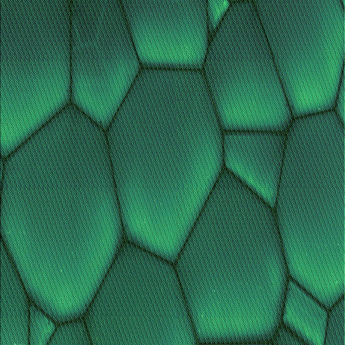 Patterned Deep Teal Green Rug, pat255grn