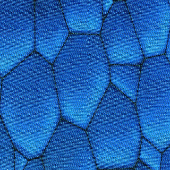 Patterned Neon Blue Rug, pat255lblu