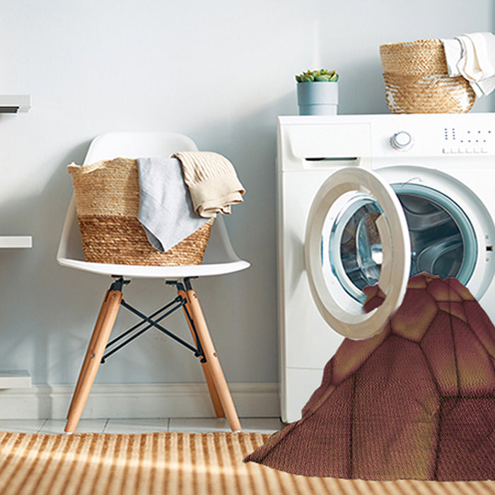 Machine Washable Transitional Chestnut Red Rug in a Washing Machine, wshpat255org