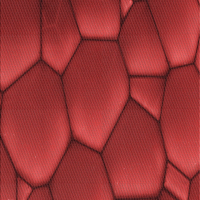 Patterned Red Rug, pat255rd