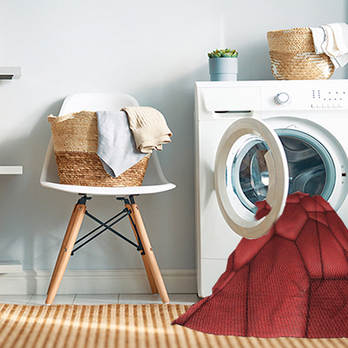 Machine Washable Transitional Red Rug in a Washing Machine, wshpat255rd