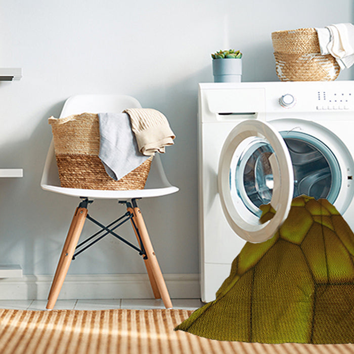 Machine Washable Transitional Red Brown Rug in a Washing Machine, wshpat255yw