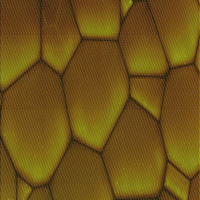 Patterned Red Brown Rug, pat255yw