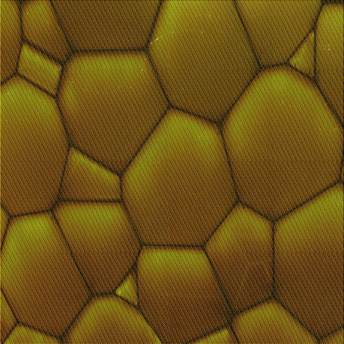 Round Machine Washable Transitional Red Brown Rug, wshpat255yw