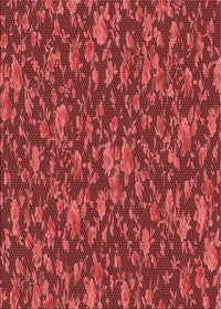 Machine Washable Transitional Red Rug, wshpat2550rd