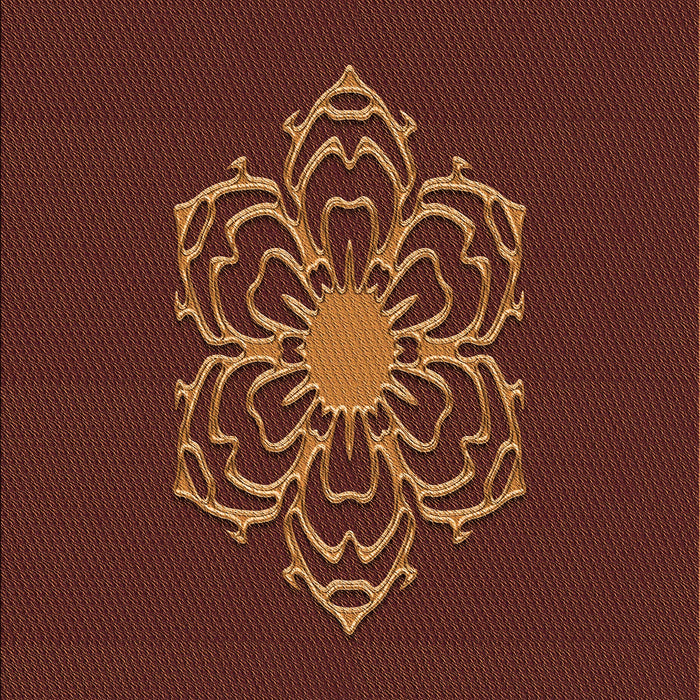 Machine Washable Transitional Mahogany Brown Rug, wshpat2553org