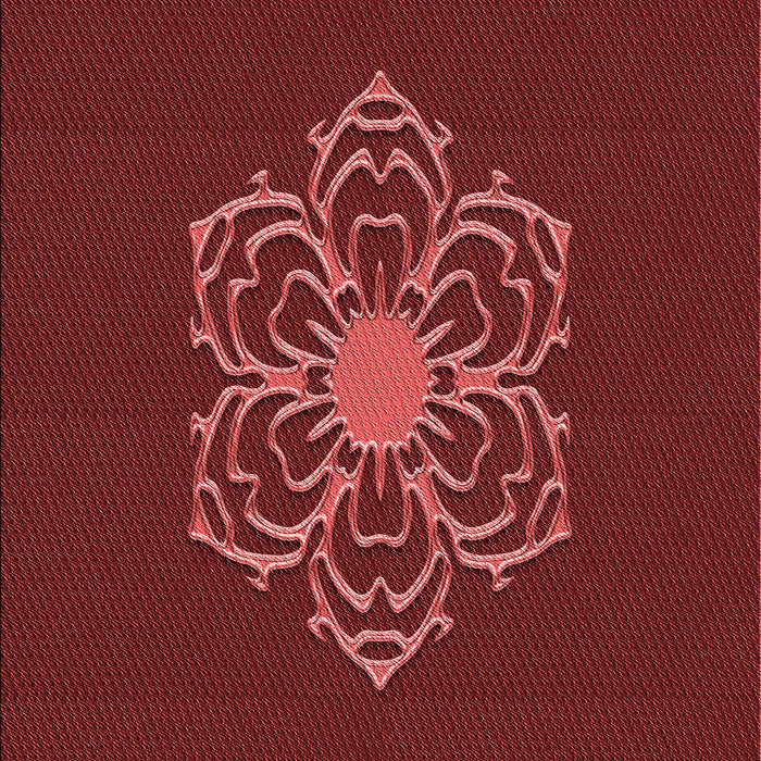 Machine Washable Transitional Red Rug, wshpat2553rd