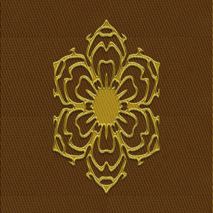 Machine Washable Transitional Night Red Rug, wshpat2553yw