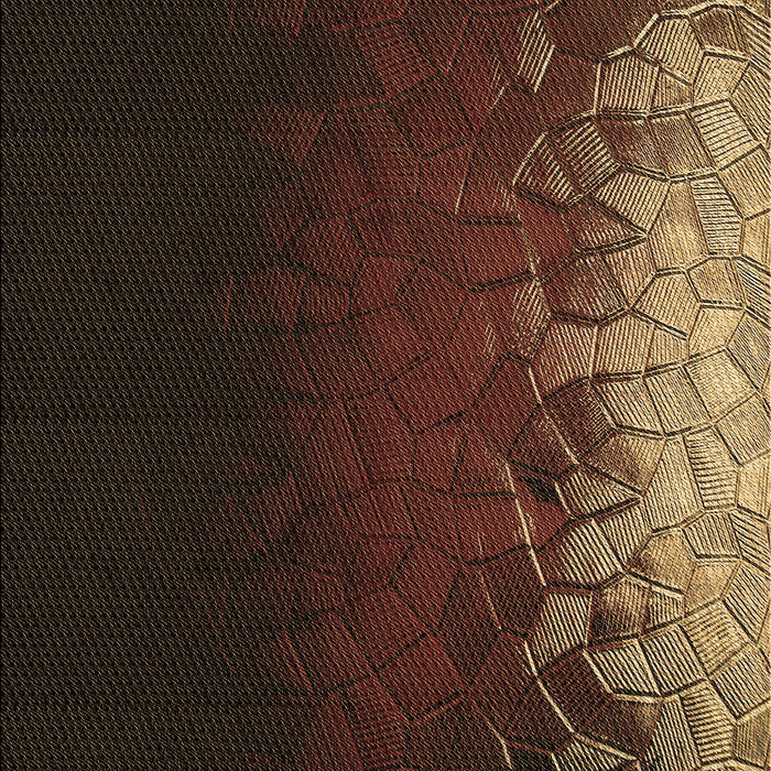 Patterned Sienna Brown Rug, pat2554brn