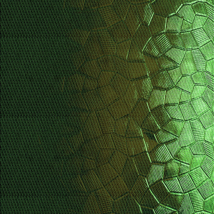 Patterned Black Rug, pat2554grn