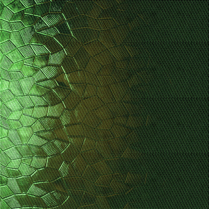 Round Patterned Black Rug, pat2554grn