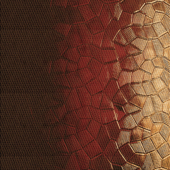 Patterned Mahogany Brown Rug, pat2554org