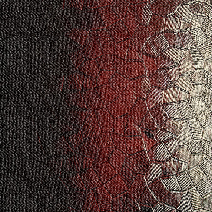 Patterned Black Brown Novelty Rug, pat2554