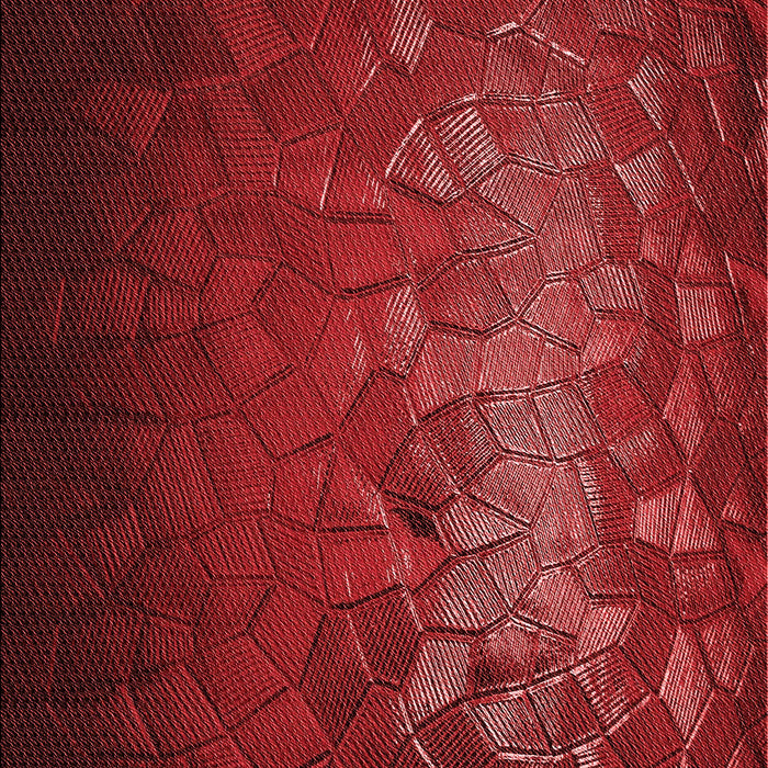 Patterned Tomato Red Rug, pat2555rd