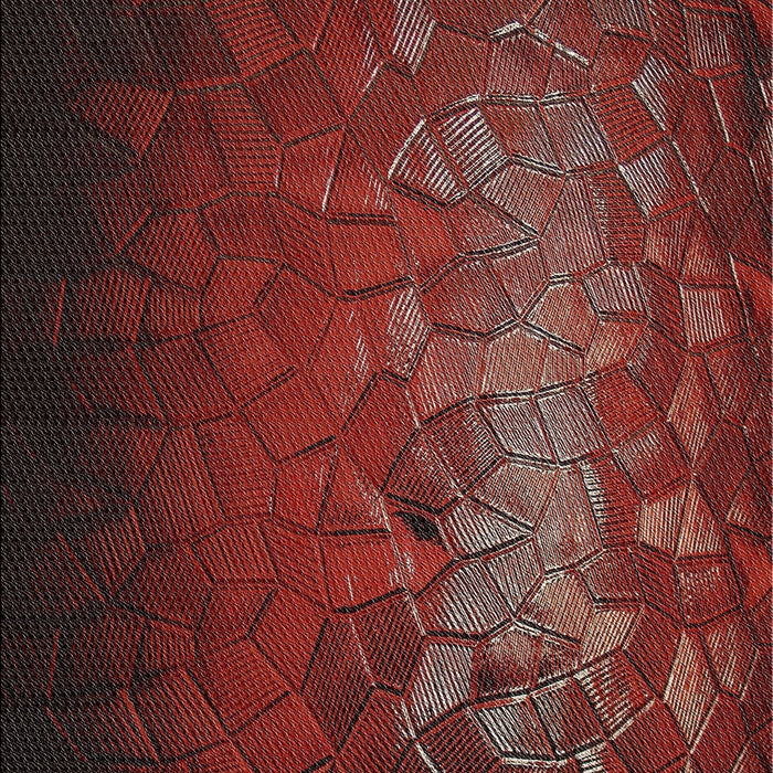 Patterned Cherry Red Novelty Rug, pat2555