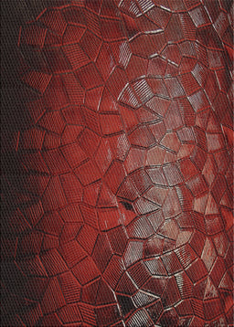 Machine Washable Transitional Cherry Red Rug, wshpat2555