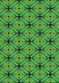 Machine Washable Transitional Green Rug, wshpat2556grn