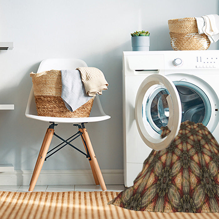 Machine Washable Transitional Red Brown Rug in a Washing Machine, wshpat2557brn