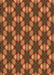 Patterned Orange Rug, pat2557org