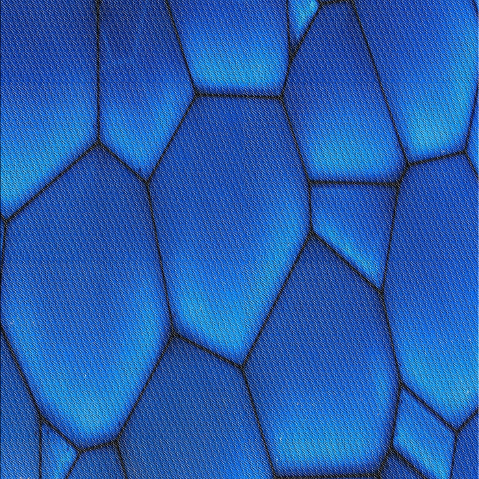 Machine Washable Transitional Blueberry Blue Rug, wshpat255