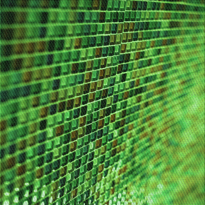 Round Machine Washable Transitional Deep Emerald Green Rug, wshpat2561grn