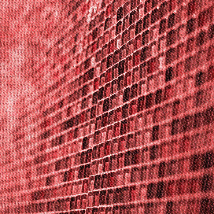 Machine Washable Transitional Red Rug, wshpat2561rd