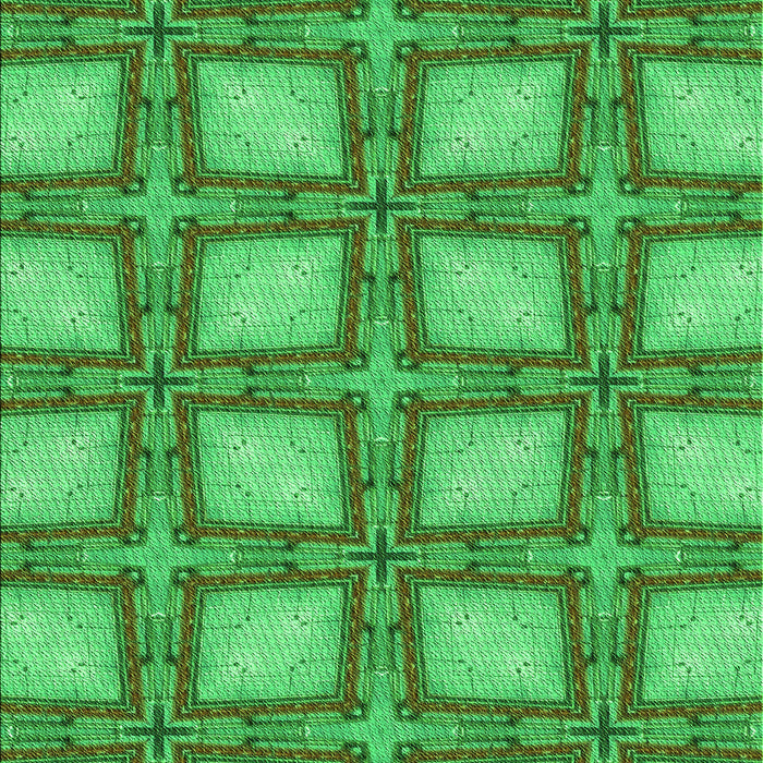 Machine Washable Transitional Forest Green Rug, wshpat2563grn