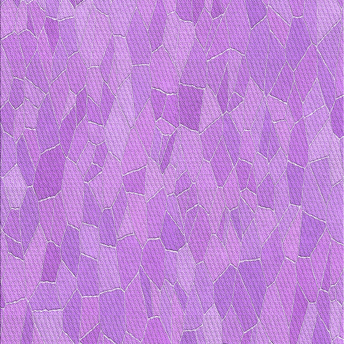 Machine Washable Transitional Violet Purple Rug, wshpat2565pur