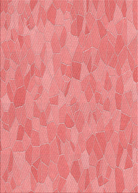 Machine Washable Transitional Light Coral Pink Rug, wshpat2565rd