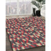 Patterned Brown Red Novelty Rug in Family Room, pat2567