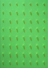 Machine Washable Transitional Lime Green Rug, wshpat2568grn