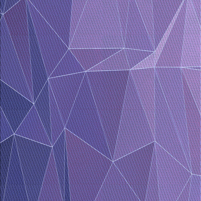 Machine Washable Transitional Amethyst Purple Rug, wshpat2569blu
