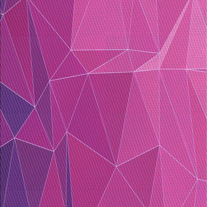 Machine Washable Transitional Deep Pink Rug, wshpat2569pur