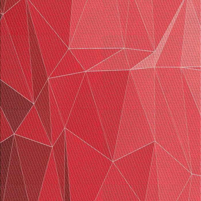 Machine Washable Transitional Red Rug, wshpat2569rd