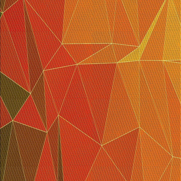 Machine Washable Transitional Neon Orange Rug, wshpat2569yw