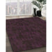 Machine Washable Transitional Purple Lily Purple Rug in a Family Room, wshpat2571brn